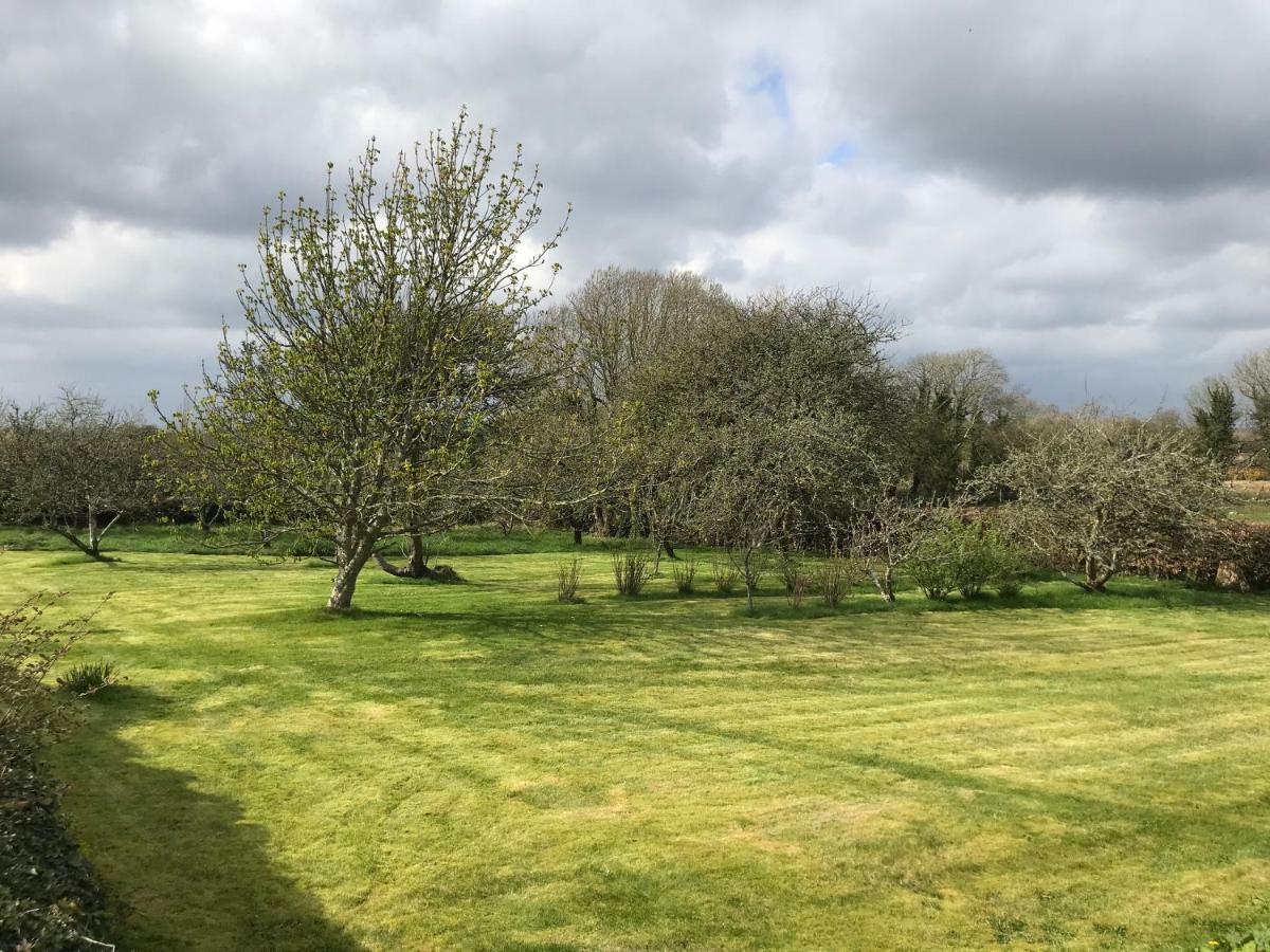 Corrib View Farmhouse غالواي المظهر الخارجي الصورة