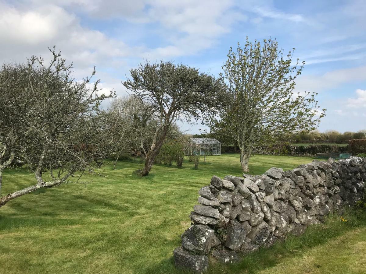 Corrib View Farmhouse غالواي المظهر الخارجي الصورة