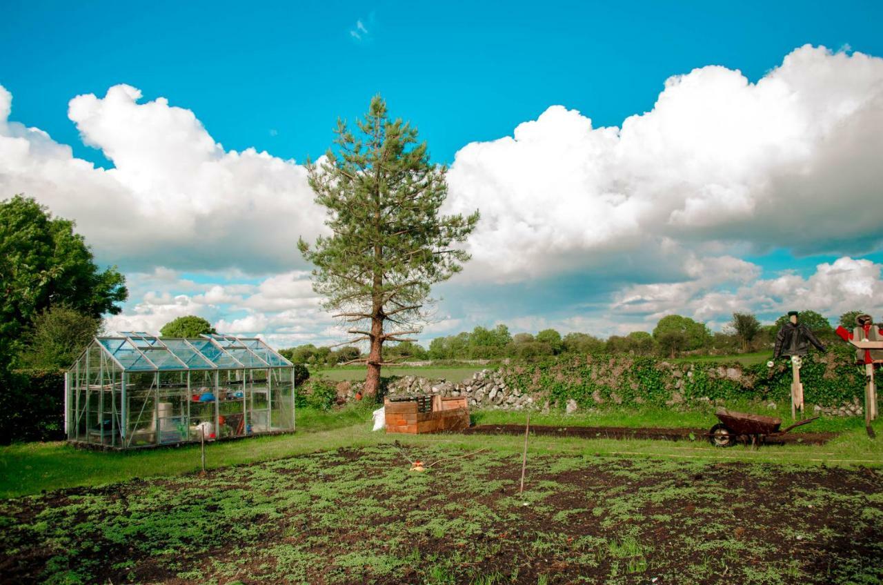 Corrib View Farmhouse غالواي المظهر الخارجي الصورة