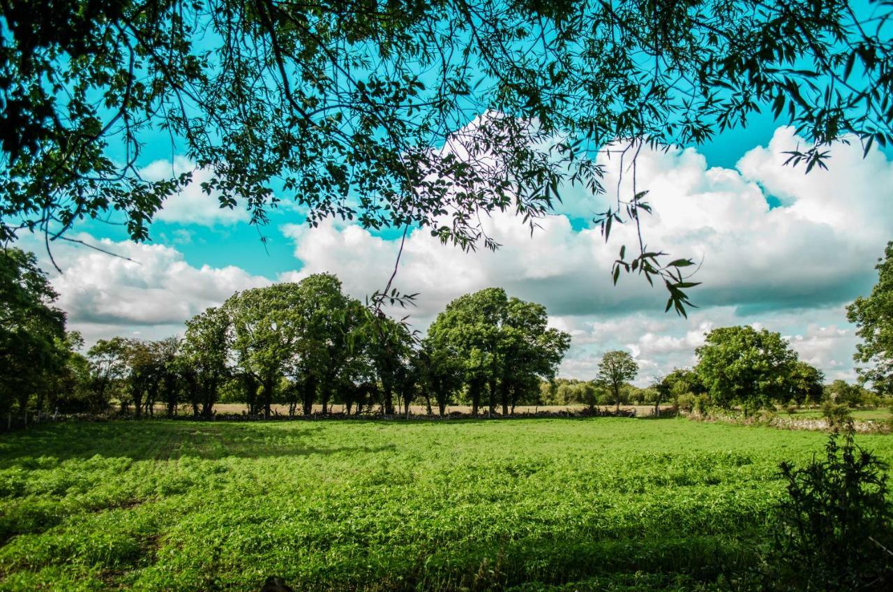 Corrib View Farmhouse غالواي المظهر الخارجي الصورة